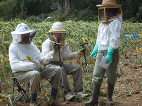 photo coins arrondis